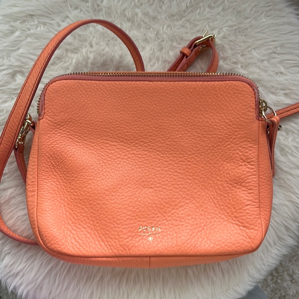 Fossil Crossbody Bag